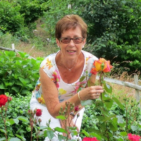 Oddborg Hellebø Klævold